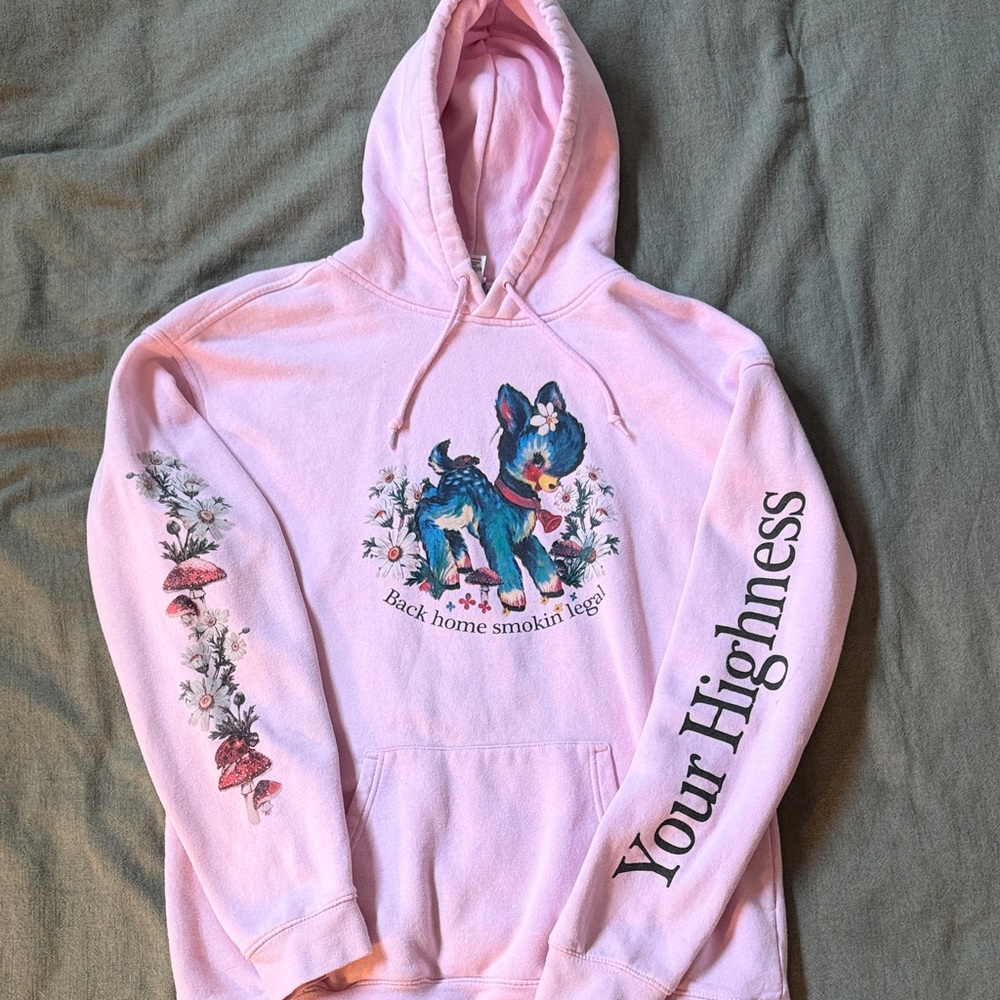 Pink Hoodie